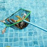 TERRAPIN POOL maintenance